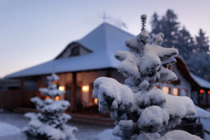 A snow-covered pine tree stands in the foreground, with a cozy, warmly lit house and more trees blurred in the background on a winter evening.